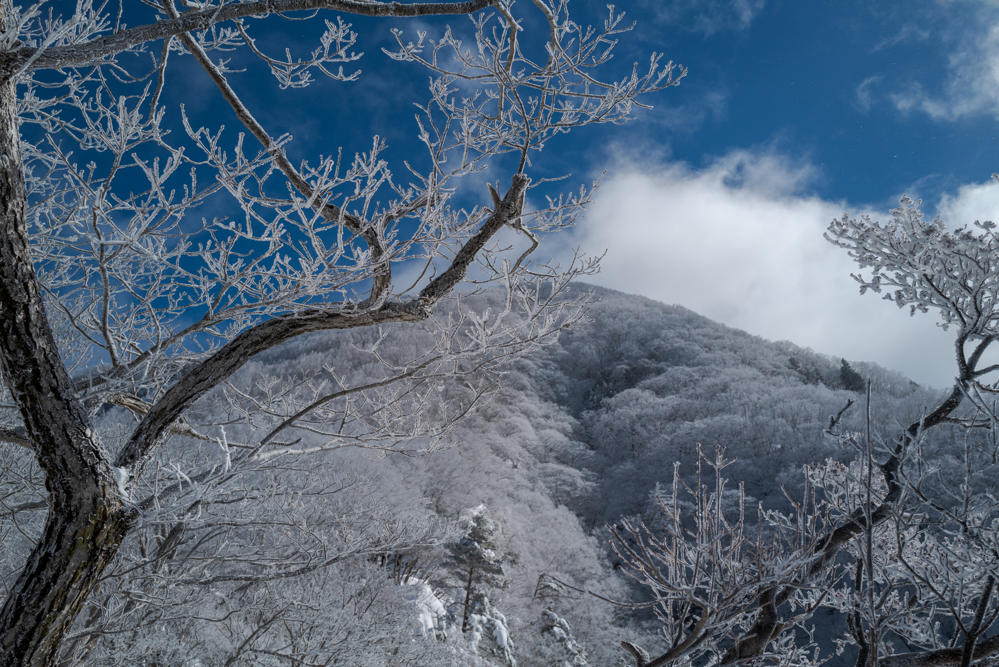 赤城山（冬） - G-BONSAI.NET